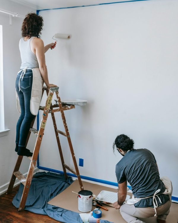 pexels-blue-bird-7218684